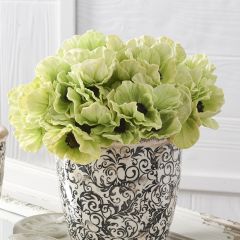 6 Stem Mini Poppy Bundle