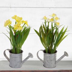 Realistic Daffodils in Watering Can Set of 2