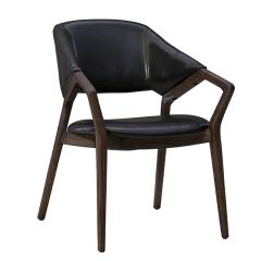 Modern Dining Chavez Arm Chair