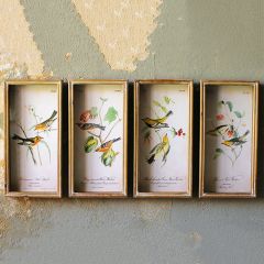 Pretty Framed Bird Prints Under Glass Set of 4