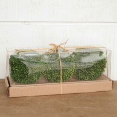 Decorative Boxwood Ball Set of 3