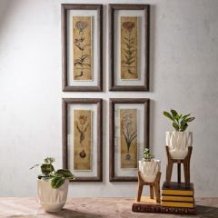 Blossom Sketch Framed Prints Set of 4