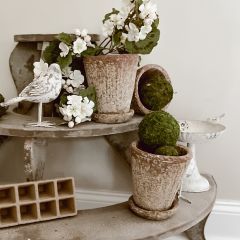 2 Piece Distressed Terra Cotta Planter With Saucer Set of 3