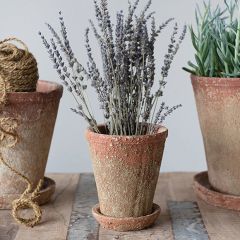 2 Piece Distressed Terra Cotta Planter With Saucer 6 Inch Set of 2