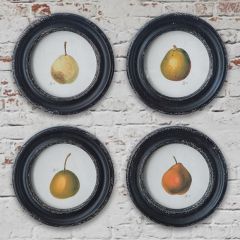 Vintage Reproduction Framed Pear Print Set of 4