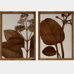 Wood Framed Botanical Image Wall Decor Set of 2