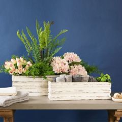 Weathered Box Container Set of 2