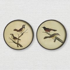 Vintage Reproduction Round Bird Prints Set of 2