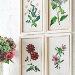 Fir Framed Floral Wall Print Set of 6