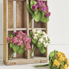 Decorative Kalanchoe Bouquet Set of 4