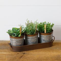 3 Metal Buckets in Tray