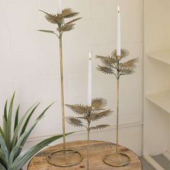 Antiqued Brass Palm Taper Candle Holder Set of 3