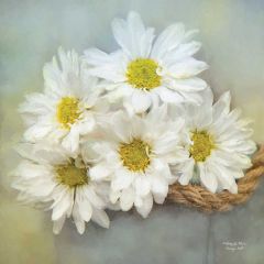 Daisy Bouquet Canvas Wall Art