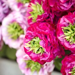 3 Stem Shades of Pink Garden Rose Bundle