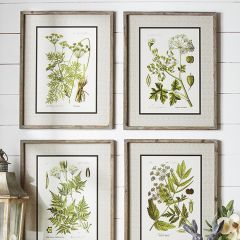 Wood Framed Botanical Print Collection Set of 4