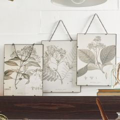 Vintage Inspired Hanging Foliage Prints Set of 3