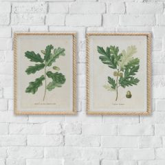 Wood Framed Oak Print Wall Decor Set of 2