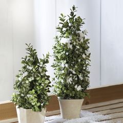 Snowy Boxwood Mini Tree Set of 2