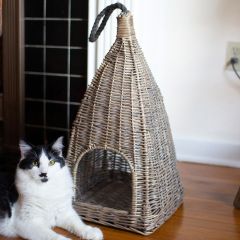 Hanging Cat Basket