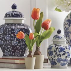 Potted Tulip Bulb Set of 2