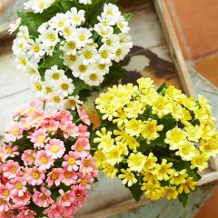 Potted Faux Daisy Plants Set of 3