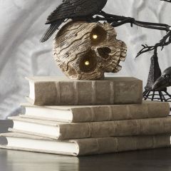 Antique Inspired Journal Set of 7