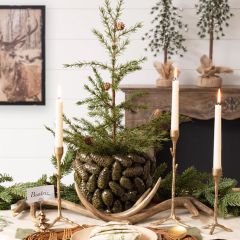 3D Pinecones Ceramic Planter