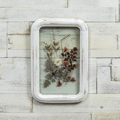 Pale Frame Pressed Botanical Wall Decor