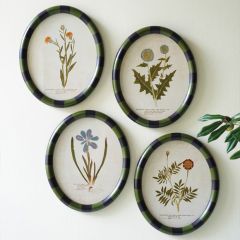 4 Piece Oval Framed Floral Print Collection