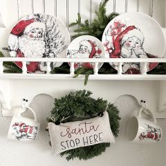 4 Piece Santa Print Plate Set