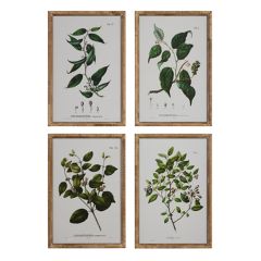 4 Piece Seeded Branch Framed Botanical Wall Art Collection