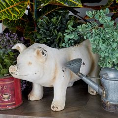 Patty Pigtunia Planter