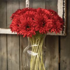 Vibrant Floral Pick Set of 6