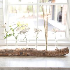Log And Test Tube Vase Centerpiece