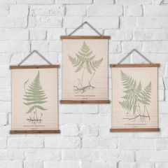 Fern Botanical Scroll Wall Decor Set of 3