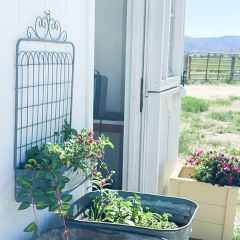 Metal Garden Gate Cottage Planter