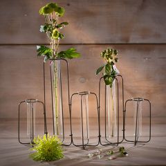 Test Tube Vases Set of 5