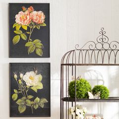 Floral Botanical Wall Art Set of 2