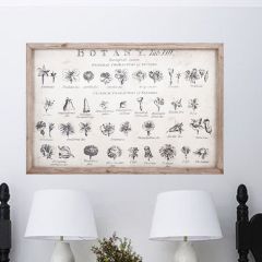 LARGE Framed Botanical Study Wall Art