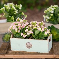 Pretty Cottage Wood Planter