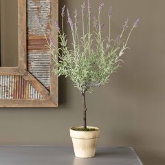 Potted Lavender Topiary