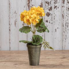 Bright Potted Geranium Set of 2