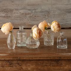 5 Piece Perfume Bottle Vases