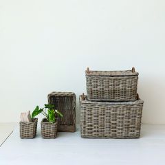 5 Piece Rattan Trunk and Nesting Basket Collection