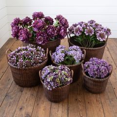 5 Piece Round Produce Basket Set