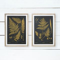 Botanical Framed Fern Print