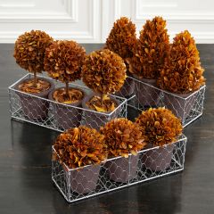 Preserved Boxwood Potted Trees In Tray 4 Pieces