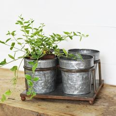 Tabletop Tin Bucket Planter Centerpiece