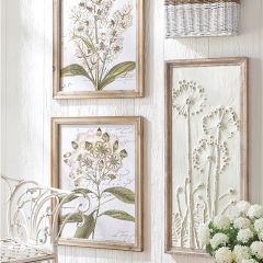 Framed Beauty Botanical Print Set of 2