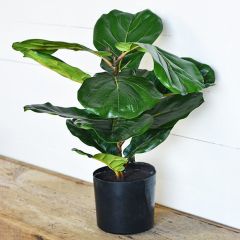 Faux Fiddle Leaf Tree